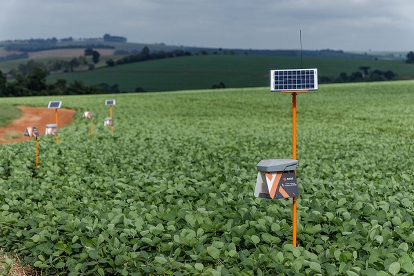 Trampas electrónicas inteligentes permiten el monitoreo remoto de plagas
