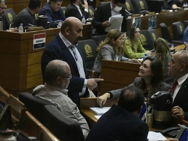 El cartismo mantuvo la “lealtad” de sus aliados en temas emblemáticos - Política - ABC Color