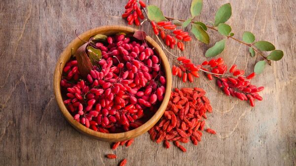 ¿Sabías que las bayas de goji son consideradas “la fruta de la inmortalidad”?
