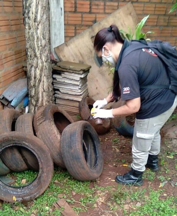 Arbovirosis: erradicación debe enfocarse en criaderos - Nacionales - ABC Color