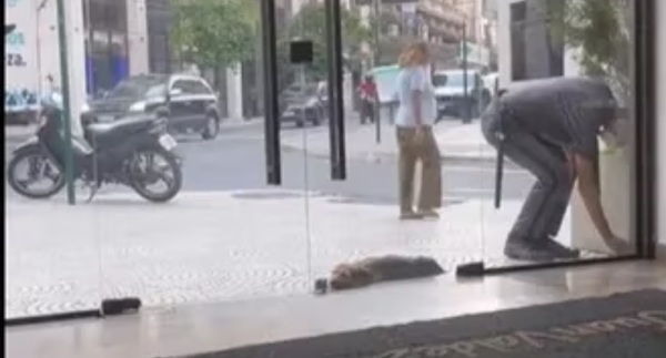 Guardia ayuda a un perrito ante intenso calor: destacan gesto que se volvió viral - Noticiero Paraguay