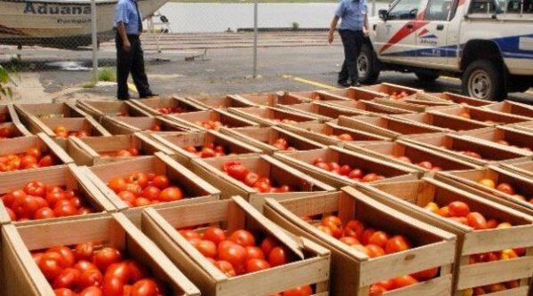 Productores frutihortícolas piden mayor control ante el ingreso de contrabando