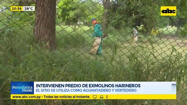 Intervienen predio de ExMolinos Harineros - Periodísticamente - ABC Color