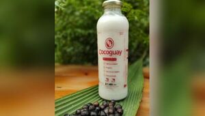 Cocoguay: la primera y única leche vegetal de coco hecha con producción agroecológica nacional