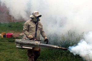 Más de 5.000 personas movilizadas contra el dengue en mayor región de Bolivia - Mundo - ABC Color