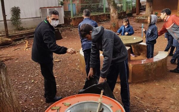 Reportan casos de chikungunya en Alto Paraná y piden notificar a SENEPA