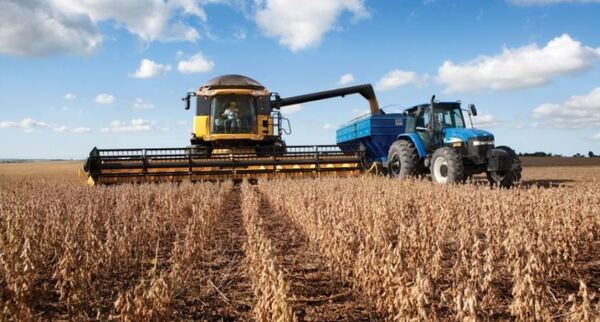 Commodities registran una baja en sus precios