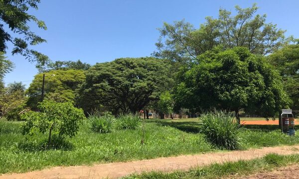 Plaza está sumida en yuyales en Franco