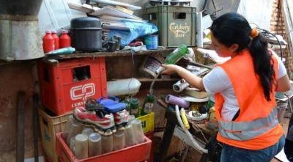 Diario HOY | Para acabar con chikunguña hay que eliminar criaderos de mosquitos