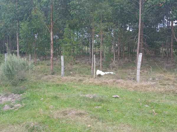 Hallan restos óseos de un hombre en Gral. Delgado