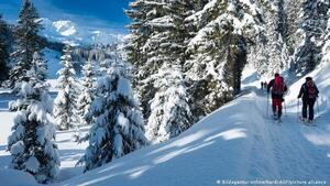 Hallan muertos en Japón a dos esquiadores tras avalancha