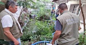 La Nación / Nueva intervención en Asunción: encuentran vivienda con agua estancada en piscina y malezas