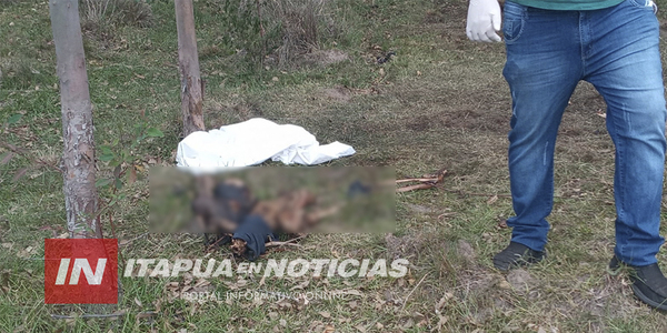 HALLARON UN CADÁVER EN AVANZADO ESTADO DE COMPOSICIÓN EN GRAL. DELGADO - Itapúa Noticias