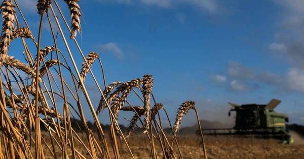 La Nación / Asociación de productores de soja realizará charla sobre competitividad y sostenibilidad agrícola