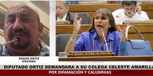 DIPUTADO ORTIZ DEMANDA A CELESTE AMARILLA POR DIFAMACIÓN Y CALUMNIAS - Itapúa Noticias