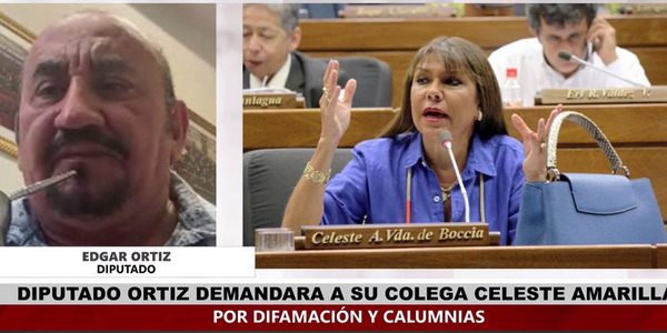 DIPUTADO ORTIZ DEMANDA A CELESTE AMARILLA POR DIFAMACIÓN Y CALUMNIAS - Itapúa Noticias