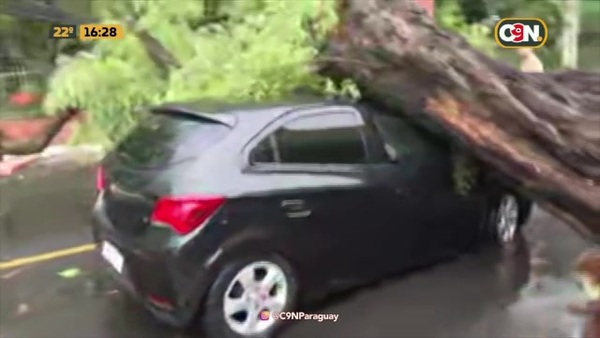 Destrozos que dejó la lluvia - C9N