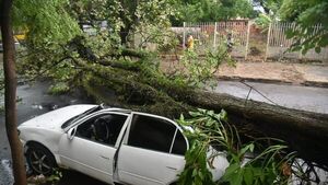 Breve temporal dejó varios daños en Asunción y alrededores