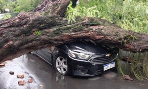 Tormenta de cinco minutos causó destrozos ápe ha pepe