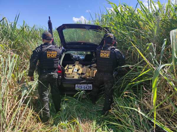Tras persecución, joven cayó con más de 300 kilos de marihuana salido de Ponta Porã - Radio Imperio