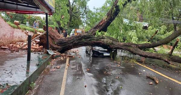 La Nación / Fugaz pero furiosa tormenta dejó cuantiosos daños