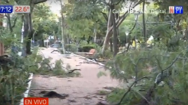 Temporal dejó destrozos tras su paso en Asunción - Noticias Paraguay