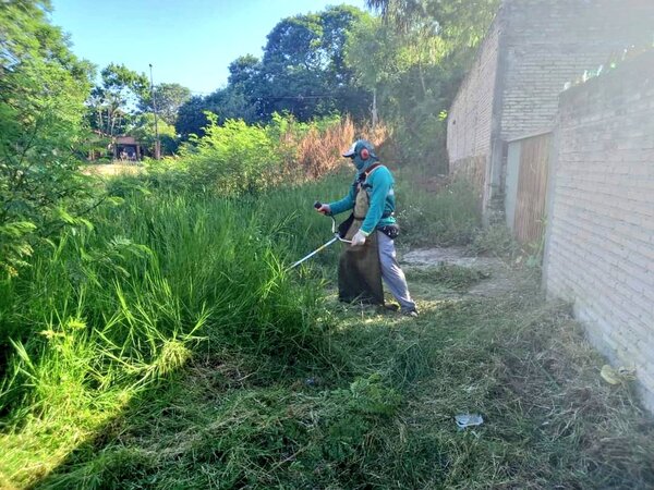 Emergencia ambiental por arbovirosis | 1000 Noticias