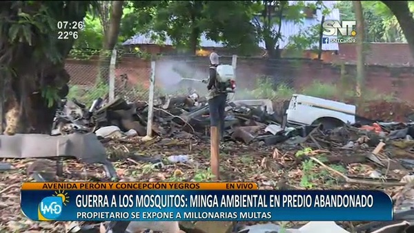 Guerra a los mosquitos: Minga ambiental en predio abandonado - SNT