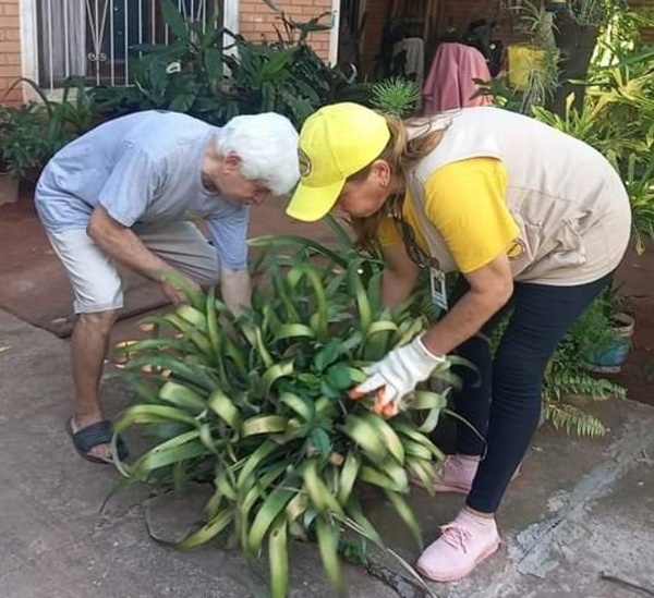 Ante epidemia de dengue y chikungunya, MADES declara contingencia ambiental - Unicanal