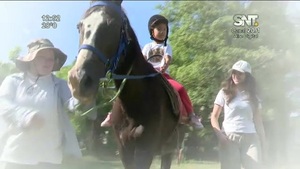 Terapias Ecuestres: El Caballo como herramienta terapéutica - SNT