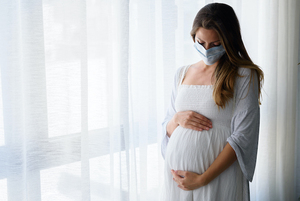 Lanzan recomendaciones para embarazadas y mujeres lactantes para casos de dengue y chikungunya - Unicanal