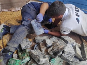 Argentina: incautan cocaína en camión con chapa paraguaya que iba a Uruguay - ADN Digital