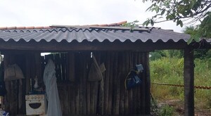 Hallaron tres cuerpos en estado de descomposición en la ribera de Carmelo Peralta - Megacadena — Últimas Noticias de Paraguay