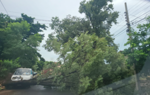 Arduos trabajos de reposición de líneas tras temporal del lunes - Megacadena — Últimas Noticias de Paraguay