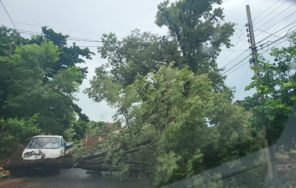 Arduos trabajos de reposición de líneas tras temporal del lunes - Megacadena — Últimas Noticias de Paraguay