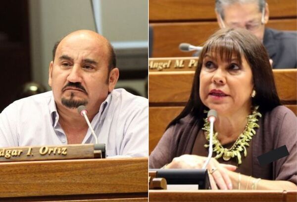 Tras acusaciones, el diputado Edgar Ortiz presentará querella contra Celeste Amarilla - Megacadena — Últimas Noticias de Paraguay