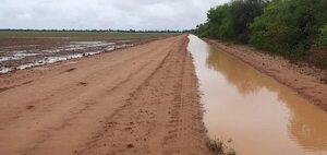 Breves lluvias alivian temporalmente sequía del Chaco - Clima - ABC Color