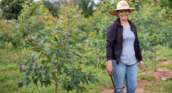PROEZA avanza en la implementación de sistemas agroforestales en fincas de familia en San pedro