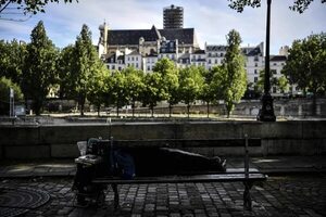 Plantar más árboles reduciría en un tercio muertes en verano en ciudades - Ciencia - ABC Color