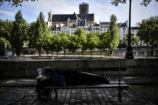 Plantar más árboles reduciría en un tercio muertes en verano en ciudades - Ciencia - ABC Color