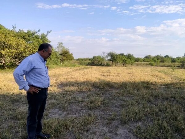 La sequía impacta con fuerza al sector productivo en Ñeembucú