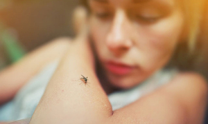 ¿Cuáles son los signos de alarma del chikungunya? - OviedoPress