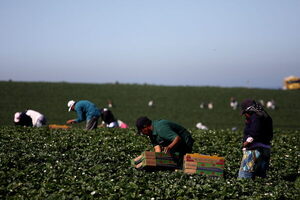 México espera enviar más de 26.000 jornaleros a Canadá durante 2023 - MarketData