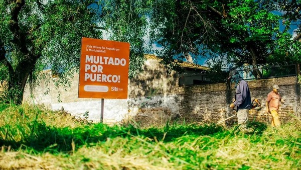 Carteles ayudan a que vecinos limpien sus terrenos | 1000 Noticias