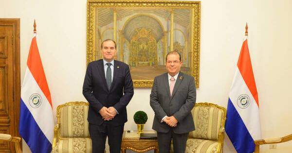 La Nación / Canciller recibe a representante de la OEA en el marco de las elecciones generales de abril