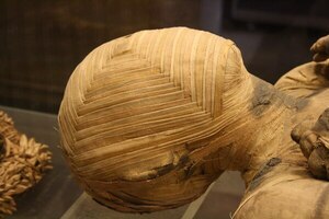 Llevando la estupidez a un nuevo nivel: Museos woke dejan de usar la palabra “momia” por resultar ofensiva para los milenarios cadáveres - Informatepy.com