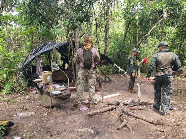 SENAD y la FTC destruyen 6 hectáreas de marihuana en Yby Ya’u