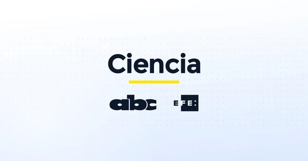 Un buscador con inteligencia artificial y otros clics tecnológicos - Ciencia - ABC Color