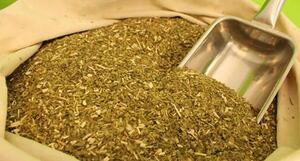Desde Itapúa promueven el consumo responsable de yerba mate orgánica