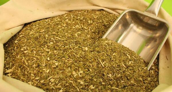 Desde Itapúa promueven el consumo responsable de yerba mate orgánica